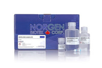 62300 Biofilm DNA Isolation Kit ( 50 rxn )